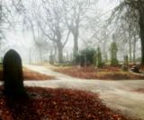 Misty Cemetery