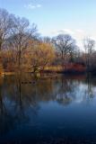 POND IN THE ZOO