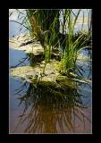 Slow creep of pollution.....