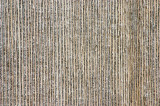 cedar