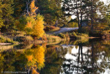 Reflection Road