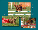Kilfoil 8x10 Summer