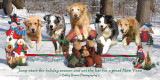 2008 Barry Rosen Photography holiday greeting
