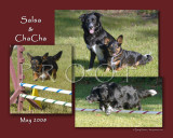 Smith 8x10 Salsa & ChaCha