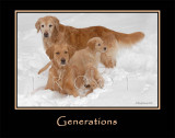 Generations