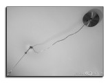 Linked<br>January 3