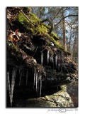 Winter into Spring<br>February 23