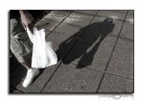 Shadow Shopper<br>May 16