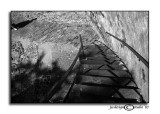 Shadow Walk