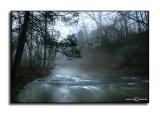 Foggy Morn 2