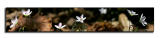 Macro Pano II<p>March 19