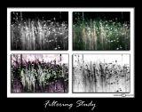 Filtering Study<p>July 14