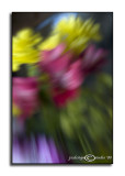 CHALLENGE: <i>Natural Color</i><br>Brush Strokes<br>February 28
