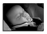 My Lil Buddy