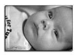 Two Months III