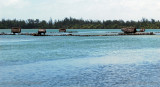 Fish traps in Huahine lagoon