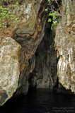 Swallow Cave, Vavau Group, Tonga
