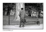Man In The Park