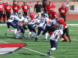 dsc_0654a.jpg