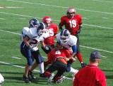 dsc_0662.jpg