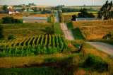 Rolling Hills in Farm Country