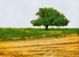 Tree with Wheat Field