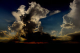 Backlit Cumulus Towers