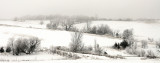 Cold Winter Landscape