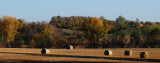 Fall Palette with Hay Bales