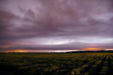 Approaching Storm