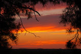 Sky Window