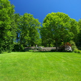 Great Lawn - Jun