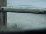 Stormy Coast