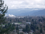 Springfield OR