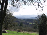 Overlooking Springfield OR