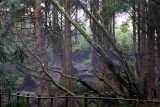 2-7-10 048.jpg