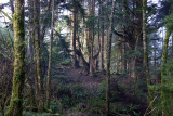 2-7-10 058.jpg