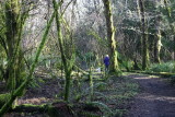 2-7-10a 027.jpg