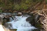 IMG_0225.JPG