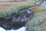 IMG_0298.JPG