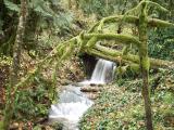 Water fall lower deerhorn rd