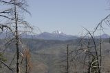 McGrew Trail what a view