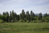 Black Butte Ranch 5-06.jpg