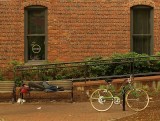 Homeless