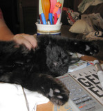 Smuge Snoozing