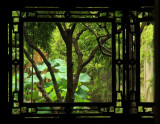 View through an ornate window at The Humble Administrators Garden, Suzhou