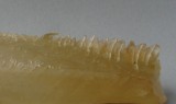 Calcite Detail