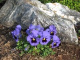 Img_3073D.jpg