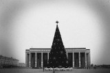 Christmas in Minsk