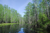 Okefenokee